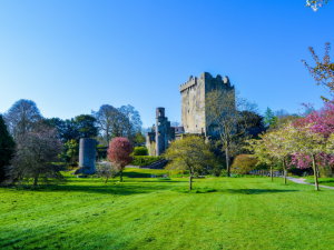 Cork castle in a green field